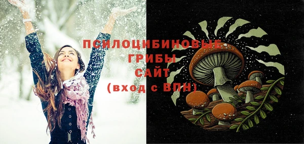 ГАЛЛЮЦИНОГЕННЫЕ ГРИБЫ Абаза