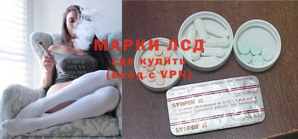 ГАЛЛЮЦИНОГЕННЫЕ ГРИБЫ Абаза