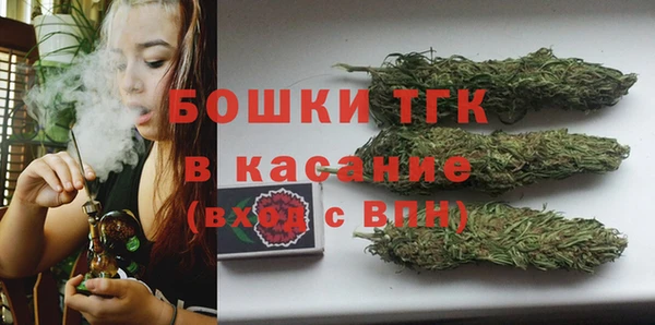ГАЛЛЮЦИНОГЕННЫЕ ГРИБЫ Абаза
