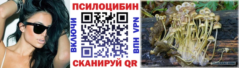 ссылка на мегу вход  Новопавловск  Галлюциногенные грибы Psilocybine cubensis  наркотики 